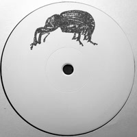 Unknown Artist - Pupa : 12inch