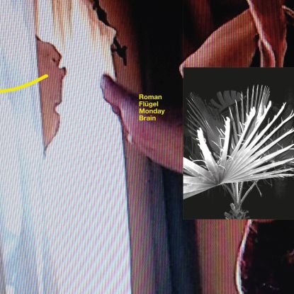 Roman Flugel - Monday Brain : 2x12inch