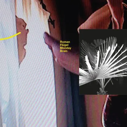 Roman Flugel - Monday Brain : 2x12inch