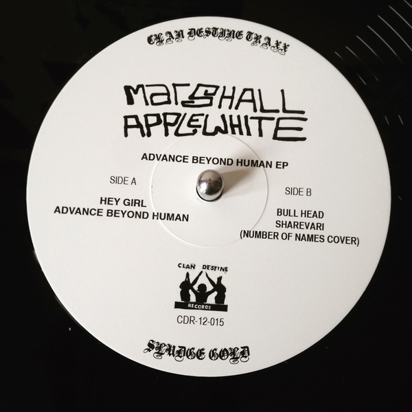 Marshall Applewhite - Advance Beyond Human : 12inch