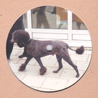 Johan Kaseta / DJ Assam & Liem - Back Quality : 12inch