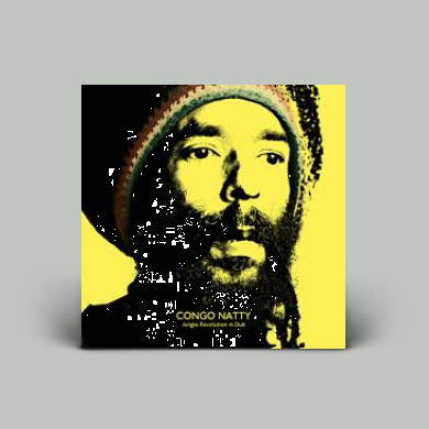 Congo Natty / Survivors / Infiltrate 6枚 Congo Natty - Jungle Revolution in Dub | NEWTONE RECORDS