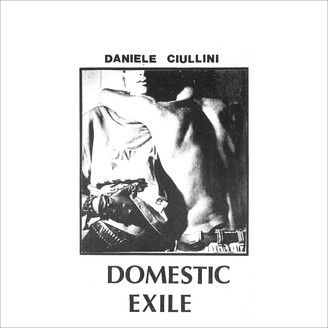 Daniele Ciullini - Domestic Exile Collected Works 82 - 86 : LP