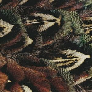 Hodge - Forms Of Life