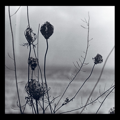 Recondite - Placid (2LP Album + MP3) (2018 Repress) : LP+download code