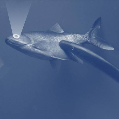 Main Hope - Main Hope EP : 12inch