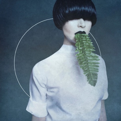 Kangding Ray - Cory Arcane : 2LP