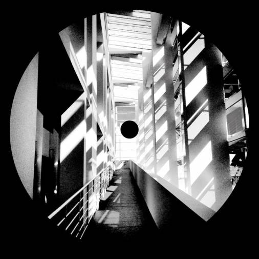 Ant Orange - S/T