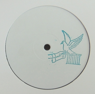 Niagara - Ascender EP : 12inch