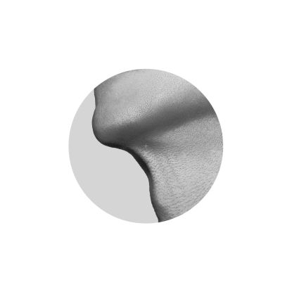 Artist: PLASTIKMAN : Newtone Records