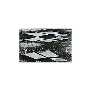 Thought Broadcast - Emergency Stairway : LP