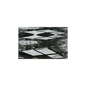 Thought Broadcast - Emergency Stairway : LP