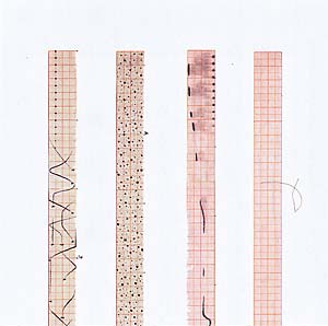 David Monacchi - Paesaggi di Libero Ascolto : CD