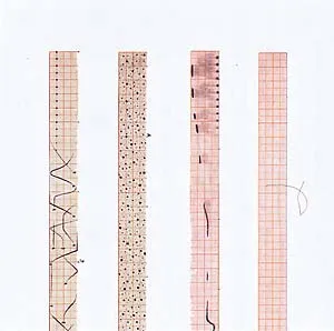 David Monacchi - Paesaggi di Libero Ascolto : CD