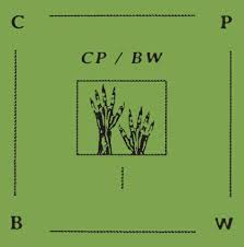 Cp/Bw - UNTITLED : LP