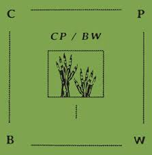 Cp/Bw - UNTITLED