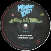 Various Artists - Midnight Riot Volume 9