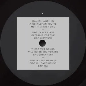 Damien Lynch - THE HEIGHTS B/W SAFE HOUSE : 12inch