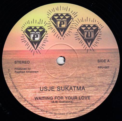 Usje Sukatma - Waiting For Your Love : 12inch