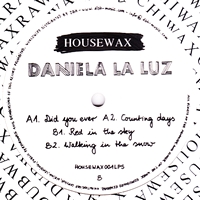 Daniela La Luz - Did You Ever : 12inch