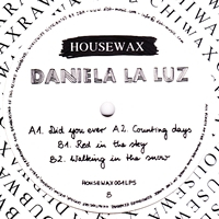 Daniela La Luz - Did You Ever