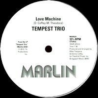 Tempest Trio - Love Machine / Do You Like The Way That It Feels : 12inch
