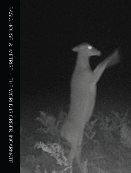 Basic House / Metrist - The World Is Order, Incarnate