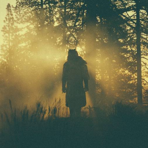 Thundercat - The Beyond / Where the Giants Roam : LP