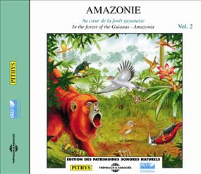 Pierre Huguet / Olivier Tostain - Amazonie Vol.2 : CD