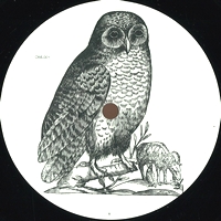 Unknown Artist - Owl : 12inch