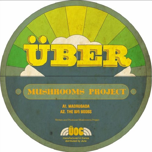 Mushrooms Project - African Obsession