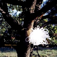 Bakradze - Restless LP