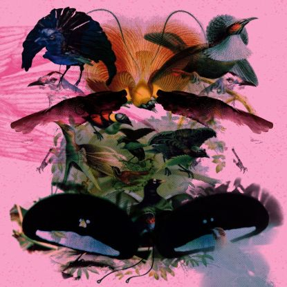 Leon Vynehall - Rojus : Designed To Dance