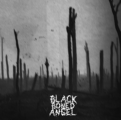 Black Boned Angel - Verdun : LP