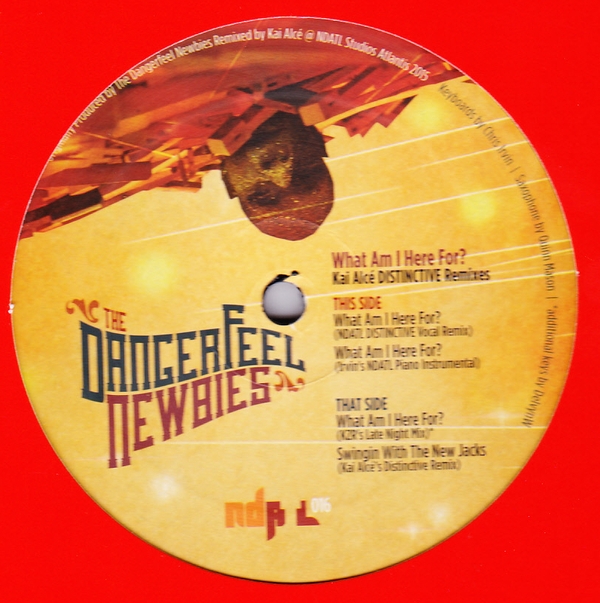 The Dangerfeel Newbies - What Am I Here For? (Kai Alce DISTINCTIVE Remixes) : 12inch