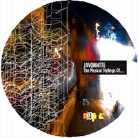 Javonntte - The Musical Stylings of... : 12inch