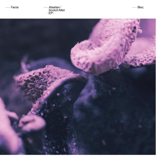 Facta - Alsatian / Scotch Mist (Incl Beneath Remix)