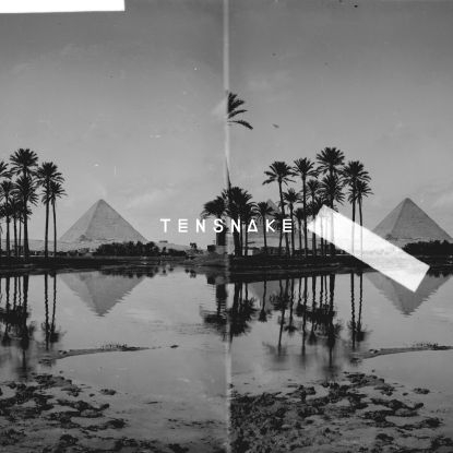 Tensnake - Desire