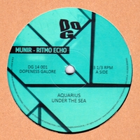 Munir - RITMO ECHO : 12inch