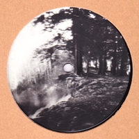 White Visitation - Blank Slate 013