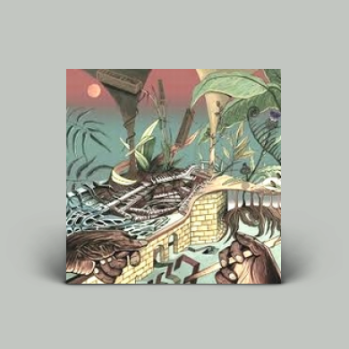 洋楽 nu guinea/the tony allen experiments/lp Nu Guinea – The Tony Allen Experiments | Releases | Discogs