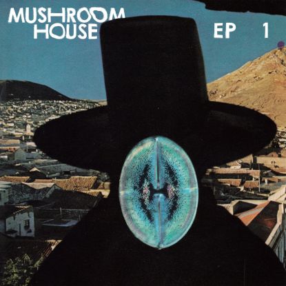 WHOMADEWHO, MUNK & REBOLLEDO, ALIEN ALIE - Mushroom House Ep 1/ DJ KOZE Remix : 12inch