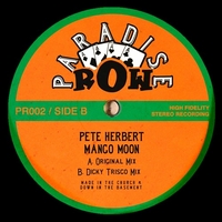 Pete Herbert - MANGO MOON : 12inch
