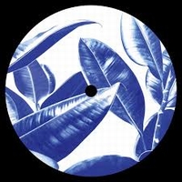Acasual - Spring Theory Reworks : 12inch