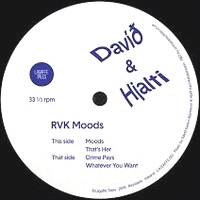 David & Hjalti - RVK Moods : 12inch