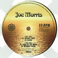 Joe Morris - Golden Tides EP : 12inch