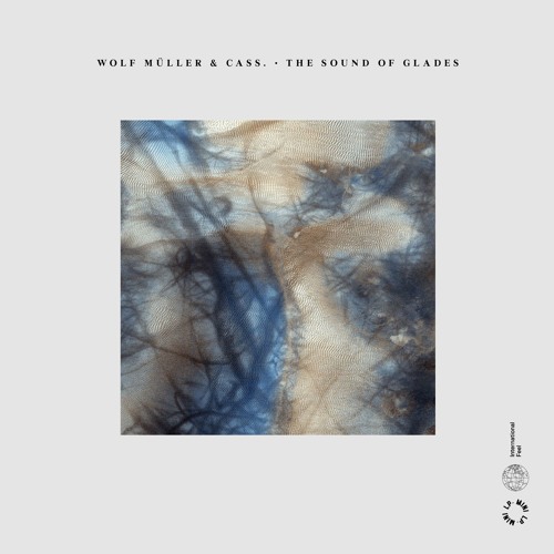 WOLF MULLER &amp; CASS. - The Sound Of Glades : LP