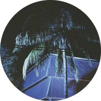 Greg Beato - Who's The Licho In Charge Ovaa Here? : 12inch