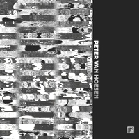 Peter Van Hoesen - Quadra