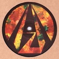 Al Zanders - D.S.O.M.C / RAIZ